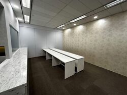51 Cuppage Road (D9), Office #540477111